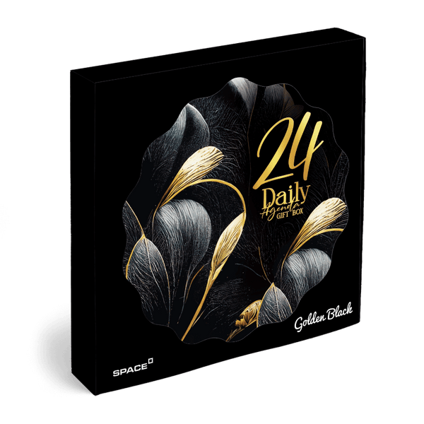 Golden Black 2024 Daily Agenda Gift Box Wired