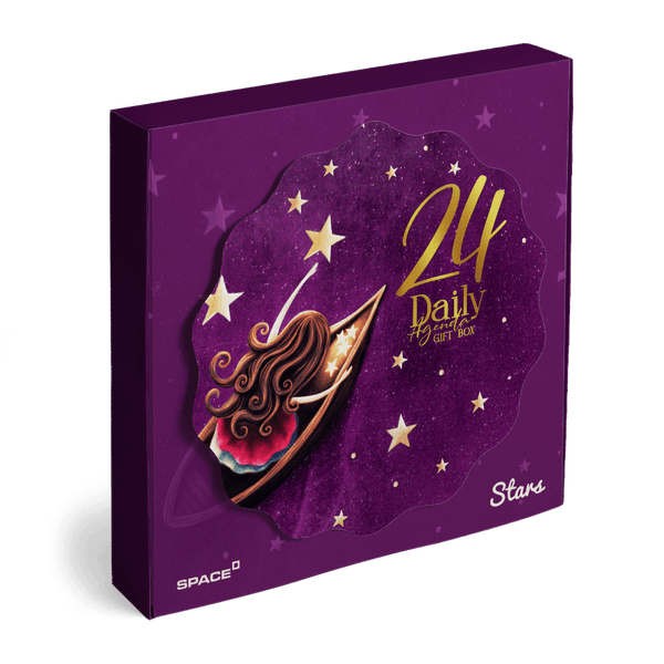 Stars 2024 Daily Agenda Gift Box Perfect Binding